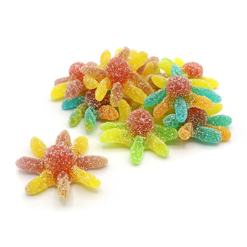 KINGSWAY SOUR OCTOPUS 2KG BAG – 1 X 2KG BAG