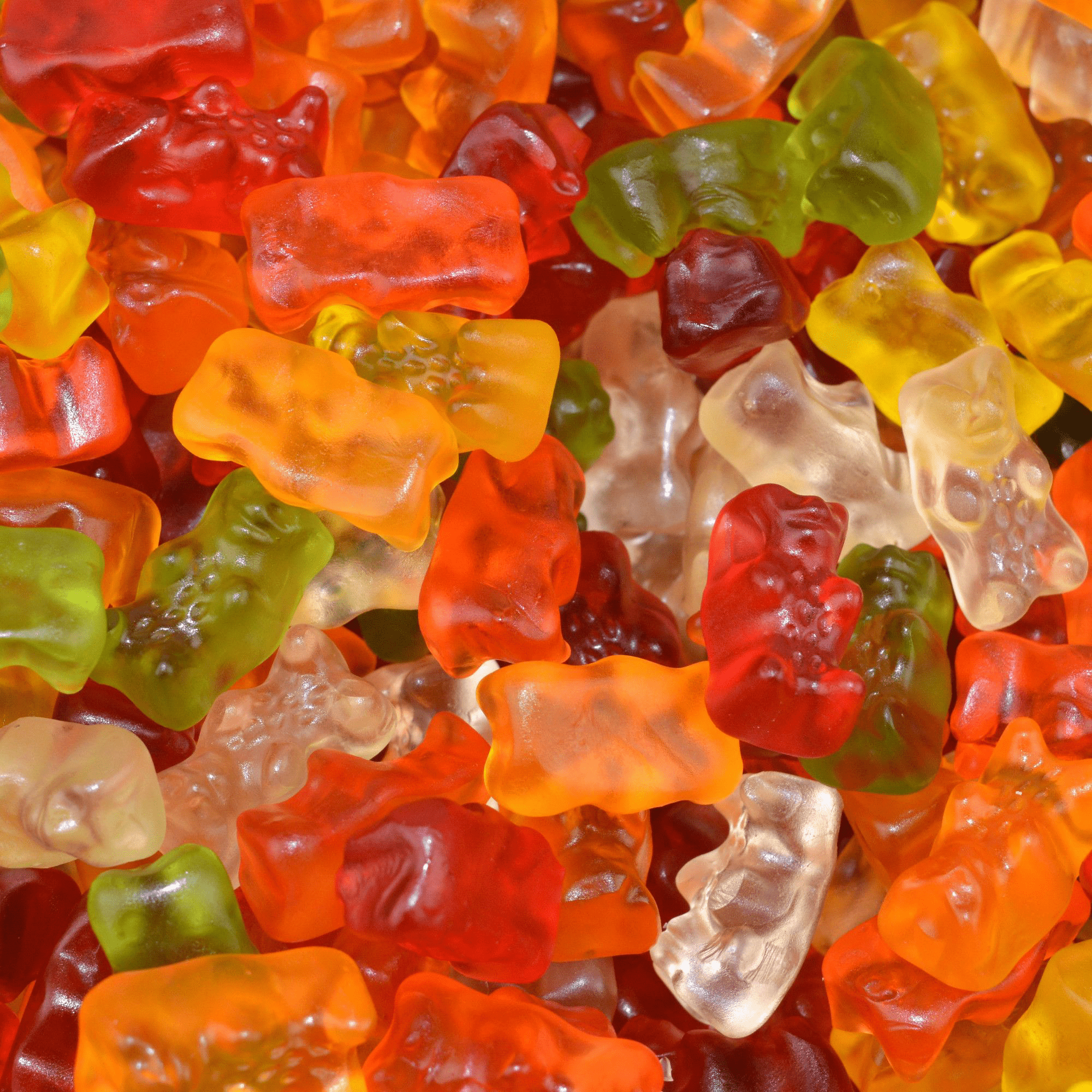 HARIBO GUMMY BEARS - 0