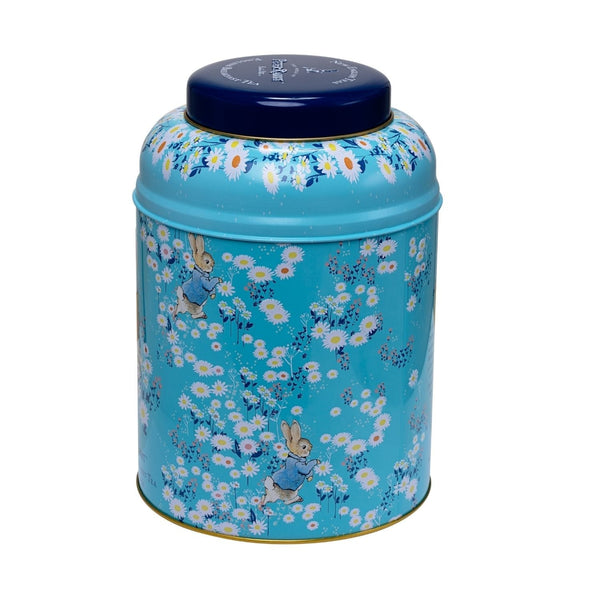 PETER RABBIT DAISIES TEA CADDY WITH 240 ENGLISH BREAKFAST TEABAGS